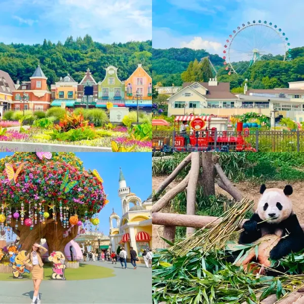 Hàn Quốc: Seoul - Nami - Everland 5 ngày 4 đêm | Tháng 12 2025 | Vietjet Air bay sáng