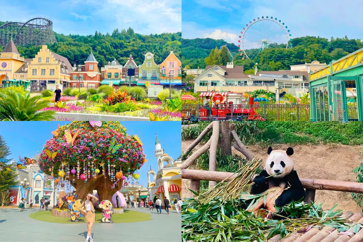 Hàn Quốc: Seoul - Nami - Everland 5 ngày 4 đêm | Tháng 12 2025 | Vietjet Air bay sáng