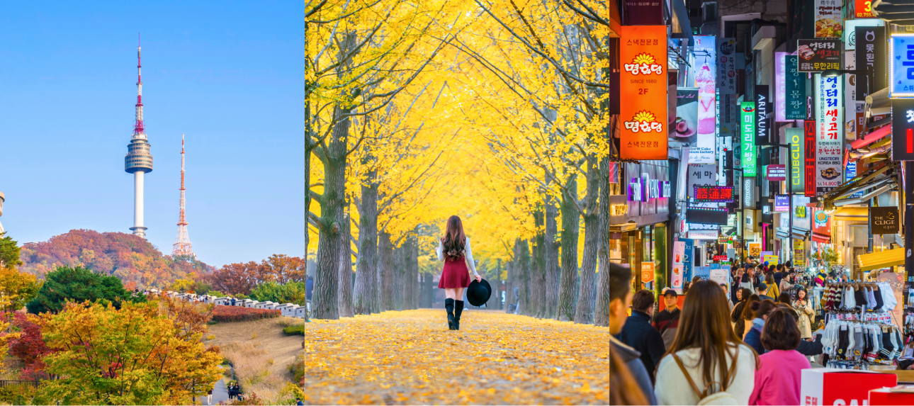 Hàn Quốc: Seoul - Nami - Everland 5 ngày 4 đêm | Tháng 12 2025 | Vietjet Air bay sáng