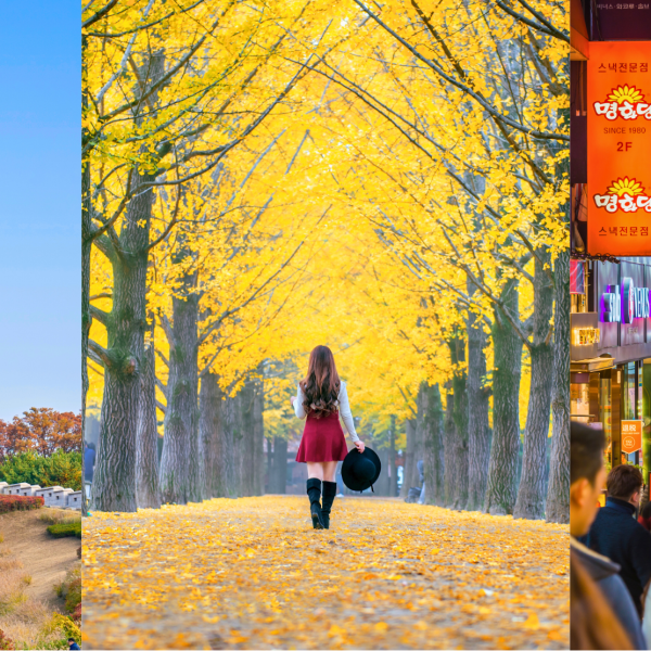 Hàn Quốc: Seoul - Nami - Everland 5 ngày 4 đêm | Tháng 12 2025 | Vietjet Air bay sáng