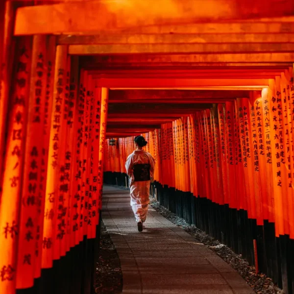 Nhật Bản Cung Đường Vàng: OSAKA – KYOTO – NAGOYA – PHÚ SĨ – TOKYO | 6 ngày 5 đêm | Tháng 10 2025 | Vietnam Airlines