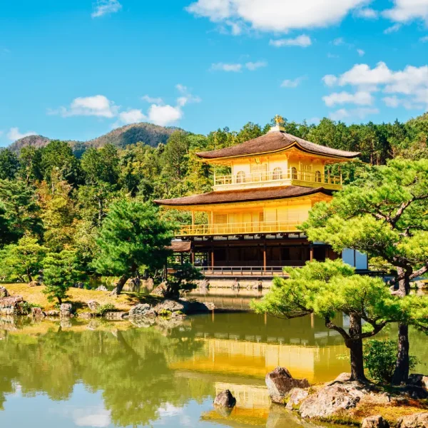Nhật Bản Cung Đường Vàng: TOKYO – YAMANASHI – TOYOHASHI – KYOTO – OSAKA – KOBE | 6 ngày 5 đêm | Tháng 10 2025 | Japan Airlines