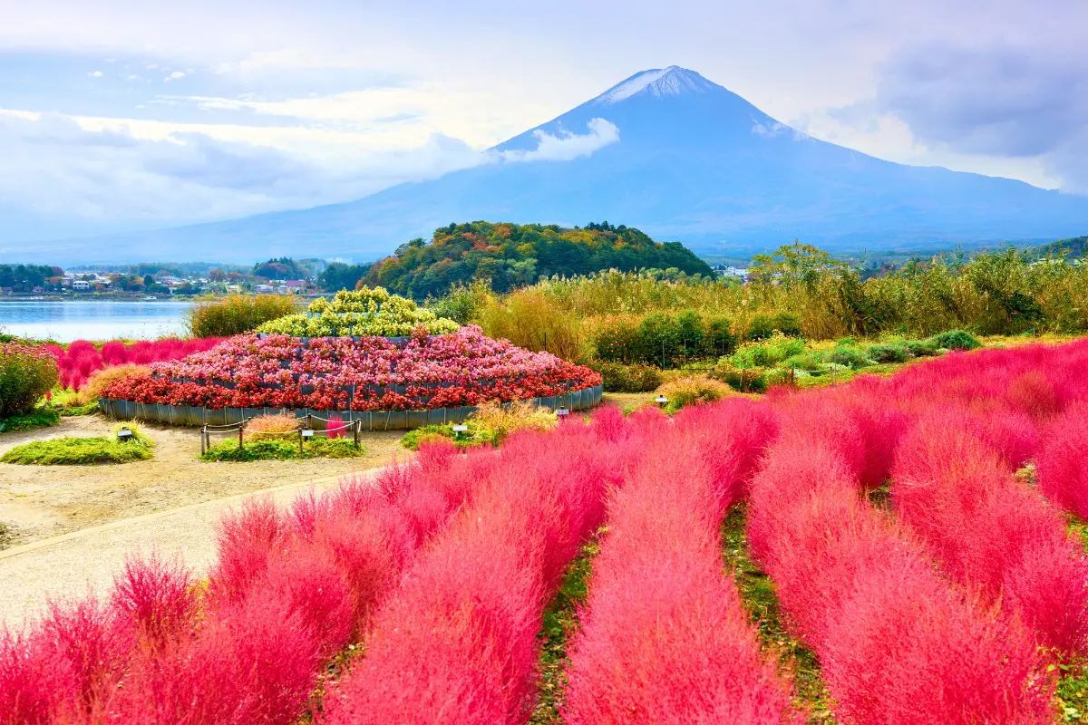 Nhật Bản Cung Đường Vàng: OSAKA – KYOTO – NAGOYA – PHÚ SĨ – TOKYO | 6 ngày 5 đêm | Tháng 10 2025 | Vietnam Airlines