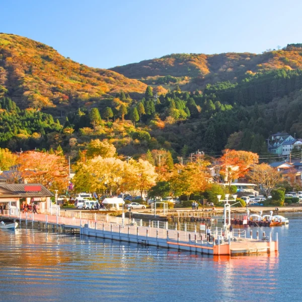 Nhật Bản Cung Đường Vàng: TOKYO –  HAKONE – YAMANASHI – FUJI – NAGOYA – OSAKA  | 6 ngày 5 đêm | Tháng 12 2025 | Vietnam Airlines