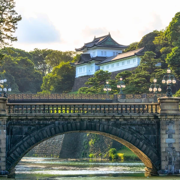 Nhật Bản Cung Đường Vàng: TOKYO – YAMANASHI – TOYOHASHI – KYOTO – OSAKA – KOBE | 6 ngày 5 đêm | Tháng 10 2025 | Japan Airlines