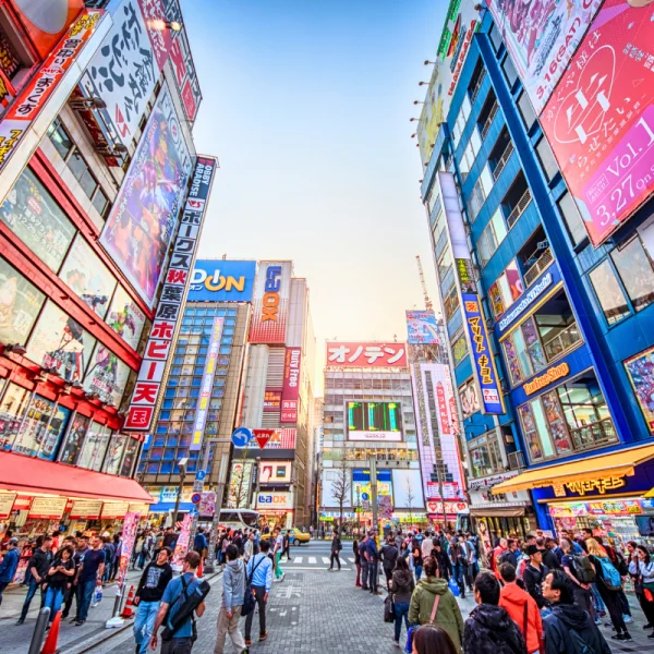 Nhật Bản Cung Đường Vàng: TOKYO –  HAKONE – YAMANASHI – FUJI – NAGOYA – OSAKA  | 6 ngày 5 đêm | Tháng 12 2025 | Vietnam Airlines
