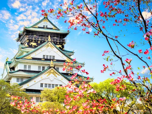 Nhật Bản Cung Đường Vàng: TOKYO – PHÚ SĨ – NAGOYA – KYOTO – OSAKA | 6 ngày 5 đêm | Tháng 10 2025 | Vietnam Airlines