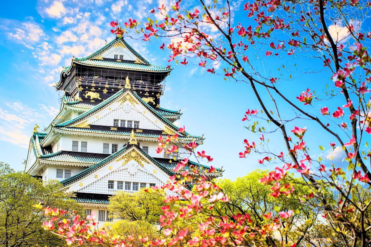 Nhật Bản Cung Đường Vàng: TOKYO – YAMANASHI – TOYOHASHI – KYOTO – OSAKA – KOBE | 6 ngày 5 đêm | Tháng 10 2025 | Japan Airlines