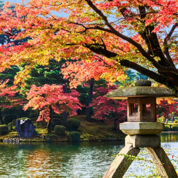 Nhật Bản Cung Cổ Tích: NAGOYA – TAKAYAMA– SHIRAKAWAGO – FUKUI – KYOTO – OSAKA  | 6 ngày 5 đêm | Tháng 11 2025 | Vietnam Airlines