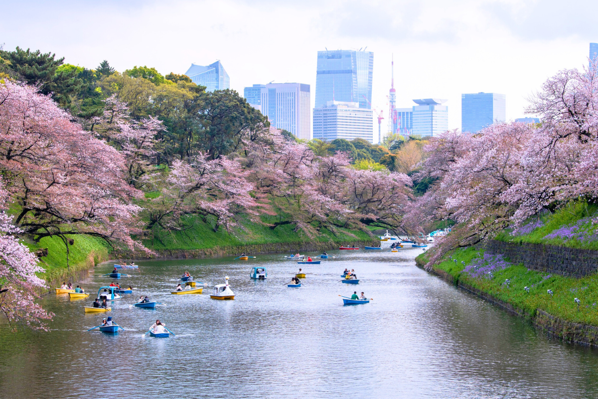 Nhật Bản Cung Đường Vàng: TOKYO – FUJI – NAGOYA – KYOTO – OSAKA | 6 Ngày 5 đêm | Tháng 4 2026 | Vietnam Airlines